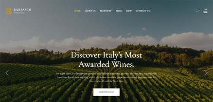 Baressco - Wine, Vineyard & Winery Joomla Template