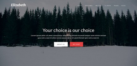 Elizabeth - One Page Corporate Joomla Template