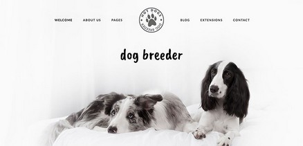 Dogs - Dog Trainers Dog Groomers Breeders Joomla 4 Template