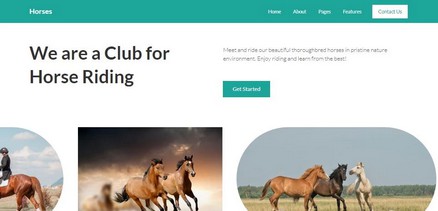 Horses - Responsive Horse Riding Joomla 4 Template