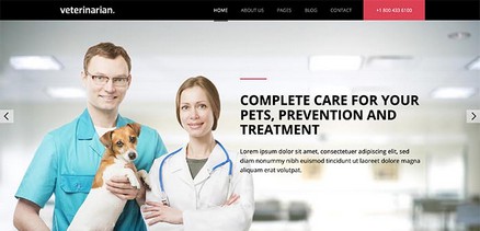 Veterinarian - Veterinarians Pet Clinics Joomla 4 Template