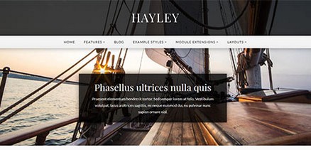 Hayley - Beautiful and Highly Functional Joomla 4 Template
