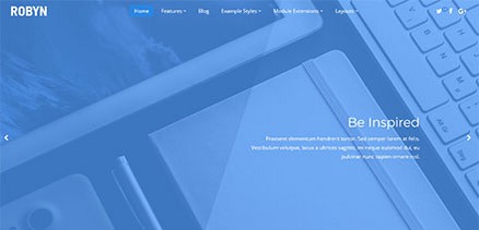 Robyn - Bright and Clean Joomla Template for Companies