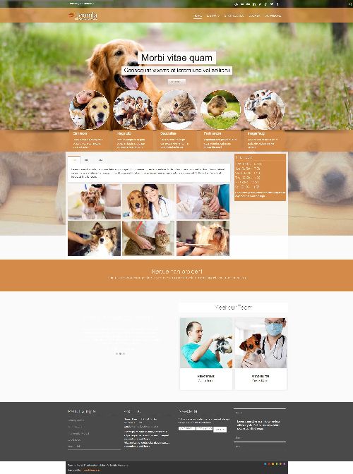 Mx-joomla157 - Pets care, Veterinarian Joomla Template