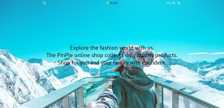 Pinple - Joomla 4 Template for creating eCommerce Websites